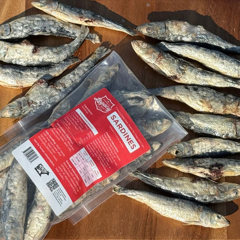 Freeze-Dried Sardines (5-6")